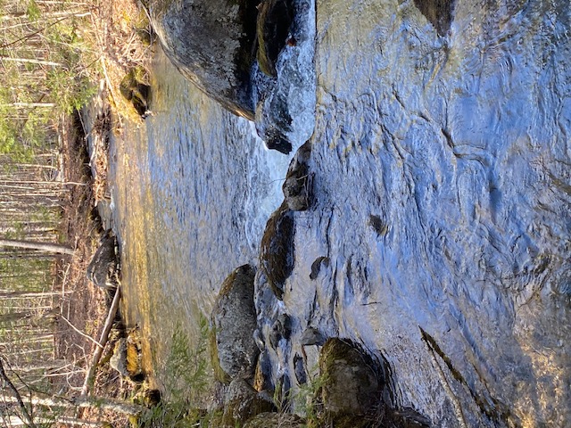 Brook 2